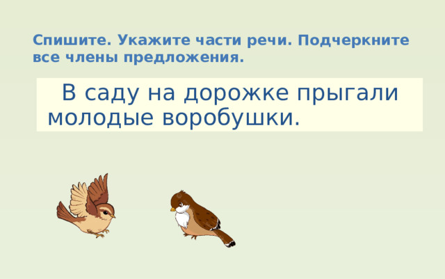 Спишите. Укажите части речи. Подчеркните все члены предложения.  В саду на дорожке прыгали молодые воробушки. 