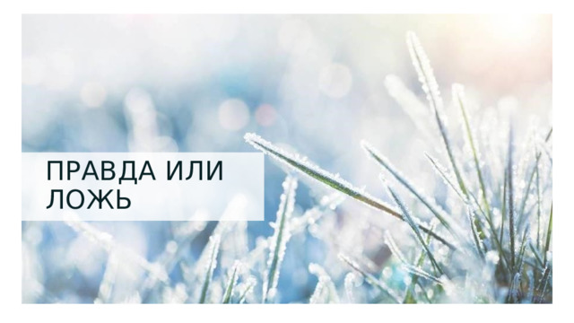 ПРАВДА ИЛИ ЛОЖЬ 1 