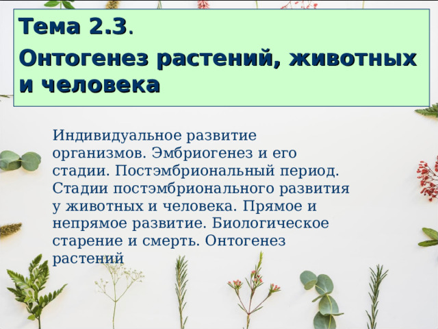 Тема 2.3 . Онтогенез растений, животных и человека  Индивидуальное развитие организмов. Эмбриогенез и его стадии. Постэмбриональный период. Стадии постэмбрионального развития у животных и человека. Прямое и непрямое развитие. Биологическое старение и смерть. Онтогенез растений 