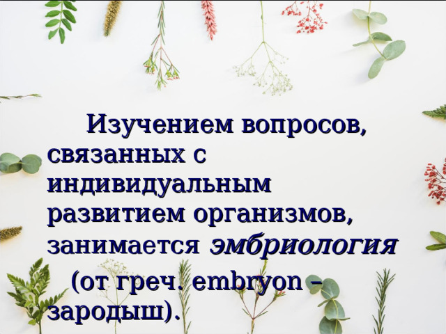  Изучением вопросов, связанных с индивидуальным развитием организмов, занимается эмбриология   (от греч. е mbryon – зародыш). 