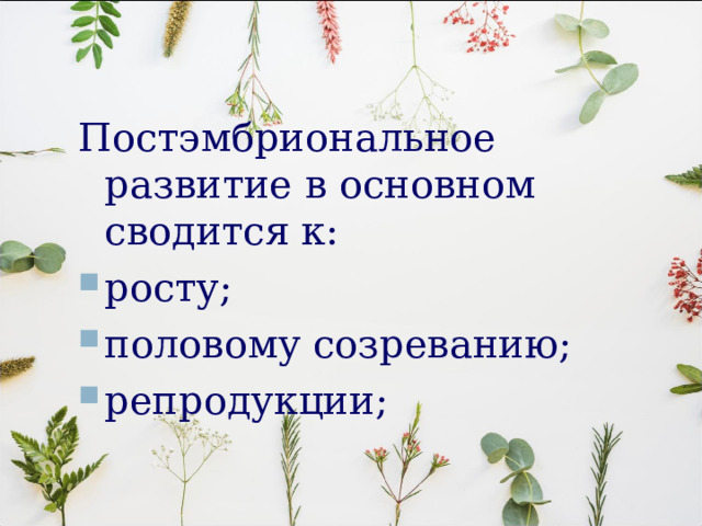 Постэмбриональное развитие в основном сводится к: росту; половому созреванию; репродукции; 