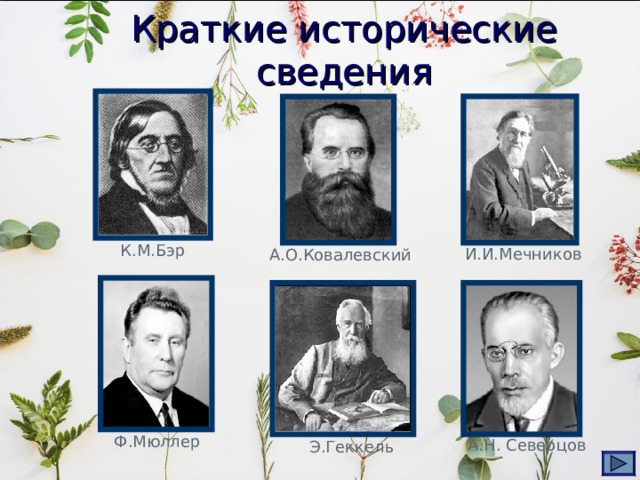 Краткие исторические сведения К.М.Бэр   И.И.Мечников  А.О.Ковалевский  Ф.Мюллер А.Н. Северцов  Э.Геккель 
