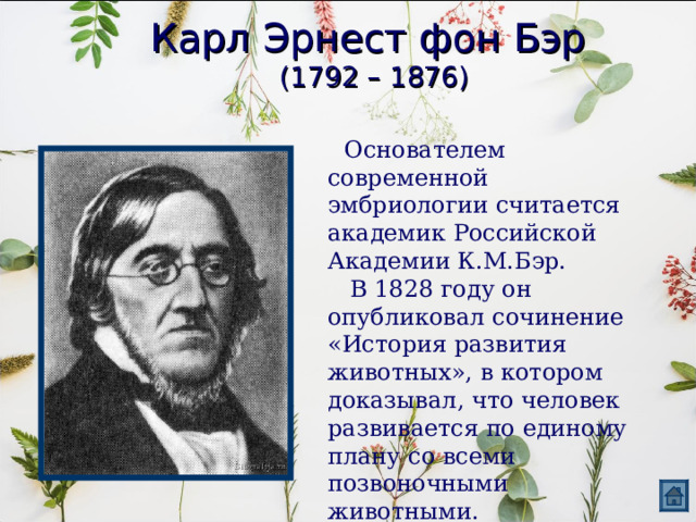 Карл Эрнест фон Бэр  (1792 – 1876)  Основателем современной эмбриологии считается академик Российской Академии К.М.Бэр.  В 1828 году он опубликовал сочинение «История развития животных», в котором доказывал, что человек развивается по единому плану со всеми позвоночными животными. 