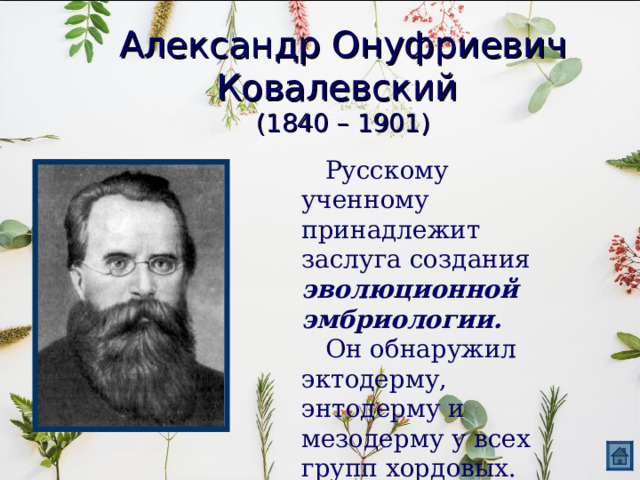 Александр Онуфриевич Ковалевский  (1840 – 1901)  Русскому ученному принадлежит заслуга создания эволюционной эмбриологии.  Он обнаружил эктодерму, энтодерму и мезодерму у всех групп хордовых. 