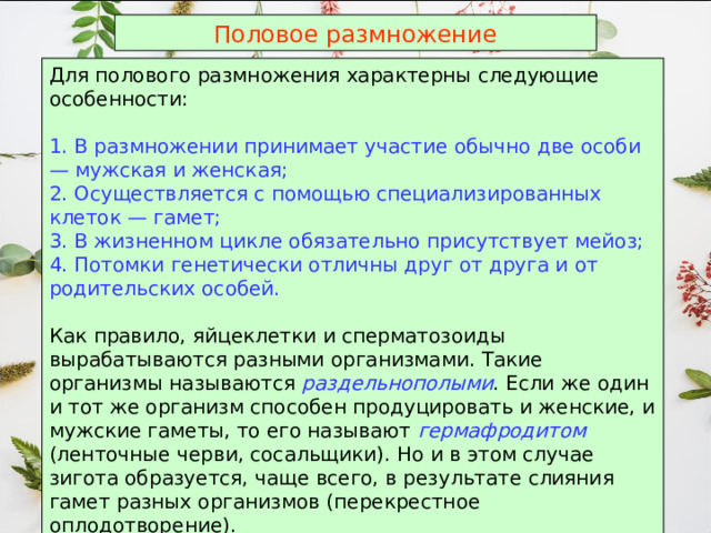Половое размножение Для полового размножения характерны следующие особенности: 1. В размножении принимает участие обычно две особи — мужская и женская; 2. Осуществляется с помощью специализированных клеток — гамет; 3. В жизненном цикле обязательно присутствует мейоз; 4. Потомки генетически отличны друг от друга и от родительских особей. Как правило, яйцеклетки и сперматозоиды вырабатываются разными организмами. Такие организмы называются раздельнополыми . Если же один и тот же организм способен продуцировать и женские, и мужские гаметы, то его называют гермафродитом (ленточные черви, сосальщики). Но и в этом случае зигота образуется, чаще всего, в результате слияния гамет разных организмов (перекрестное оплодотворение).  