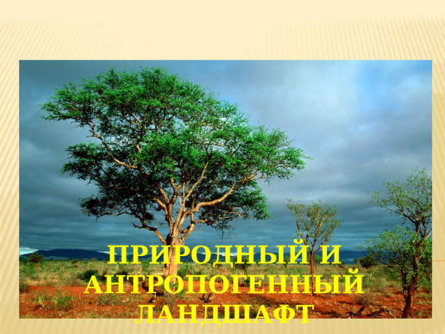 Природный и антропогенный ландшафт   