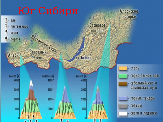 Юг Сибири 