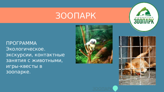 ЗООПАРК ​ ПРОГРАММА  Экологическое. экскурсии, контактные занятия с животными, игры-квесты в зоопарке. 