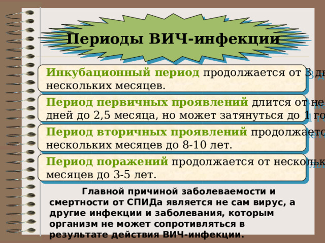 Периоды ВИЧ-инфекции Инкубационный период Период первичных проявлений  Период вторичных проявлений Период поражений  Главной причиной заболеваемости и смертности от СПИДа является не сам вирус, а другие инфекции и заболевания, которым организм не может сопротивляться в результате действия ВИЧ-инфекции. 