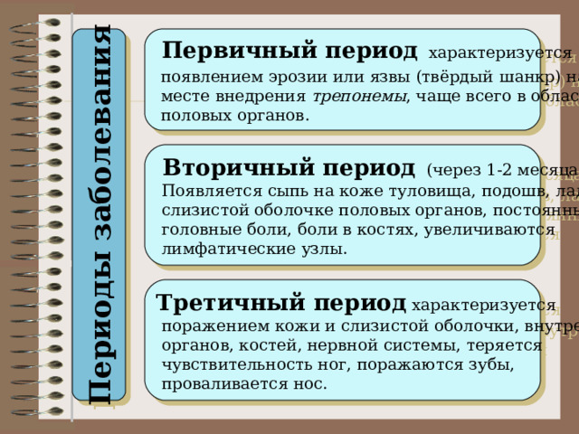Периоды заболевания  Первичный период характеризуется  появлением эрозии или язвы (твёрдый  шанкр) на  месте внедрения трепонемы , чаще всего в области  половых органов. Вторичный период (через 1-2 месяца).  Появляется сыпь на коже туловища, подошв, ладонях,  слизистой оболочке половых органов, постоянные  головные боли, боли в костях, увеличиваются  лимфатические узлы. Третичный период характеризуется  поражением кожи и слизистой оболочки, внутренних  органов, костей, нервной системы, теряется  чувствительность ног, поражаются зубы,  проваливается нос. 
