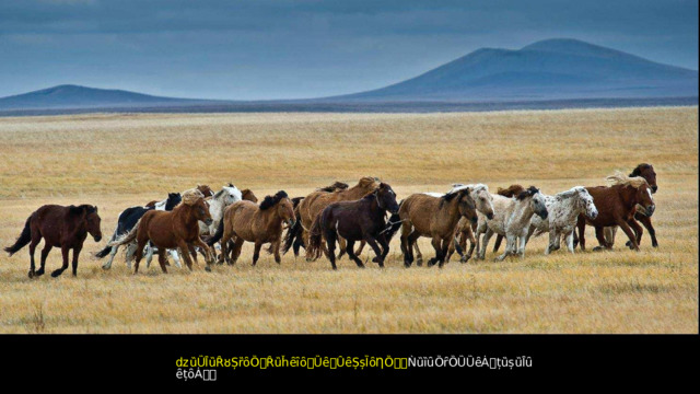 ǳȕȔȊȕȒȣȘȑȏȌ ꢀ Ȓȕȟȇȋȏ ꢀ Ȕȇ ꢀ ȖȇȘșȈȏȠȌ ꢁꢀ ǸȕȉȗȌȓȌȔȔȇȦ ꢀ țȕșȕȊȗȇțȏȦ ꢂꢀ 