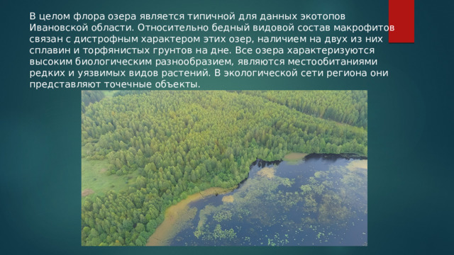 В целом флора озера является типичной для данных экотопов Ивановской области. Относительно бедный видовой состав макрофитов связан с дистрофным характером этих озер, наличием на двух из них сплавин и торфянистых грунтов на дне. Все озера характеризуются высоким биологическим разнообразием, являются местообитаниями редких и уязвимых видов растений. В экологической сети региона они представляют точечные объекты.   