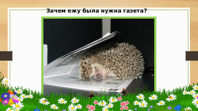 Зачем ежу была нужна газета? 