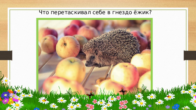 Что перетаскивал себе в гнездо ёжик?  