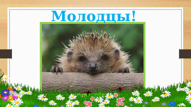 Молодцы! 