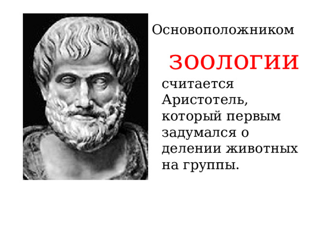 Основоположником  зоологии считается Аристотель, который первым задумался о делении животных на группы. 