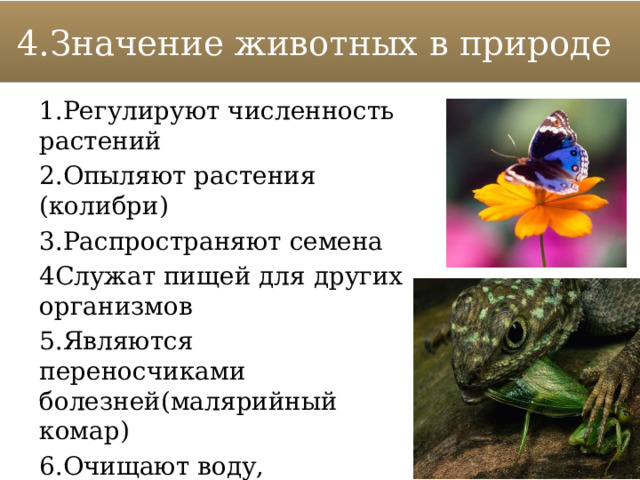 4.Значение животных в природе 1.Регулируют численность растений 2.Опыляют растения (колибри) 3.Распространяют семена 4Служат пищей для других организмов 5.Являются переносчиками болезней(малярийный комар) 6.Очищают воду, участвуют в круговороте веществ 