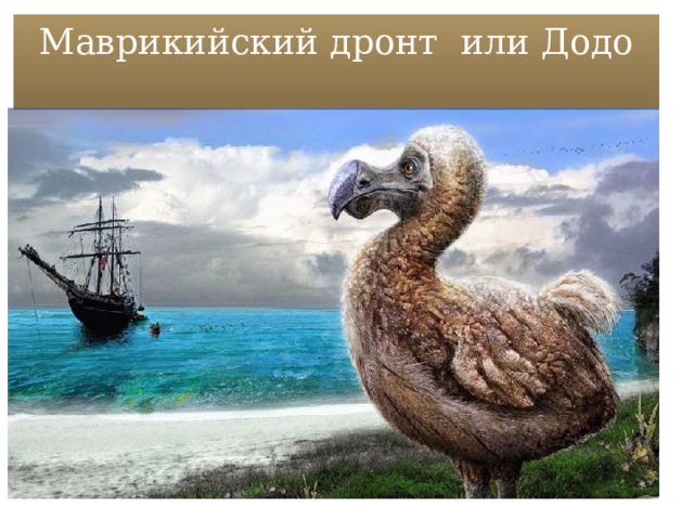 Маврикийский дронт или Додо   