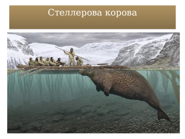 Стеллерова корова   