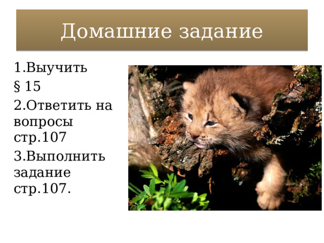 Домашние задание 1.Выучить § 15 2.Ответить на вопросы стр.107 3.Выполнить задание стр.107. 