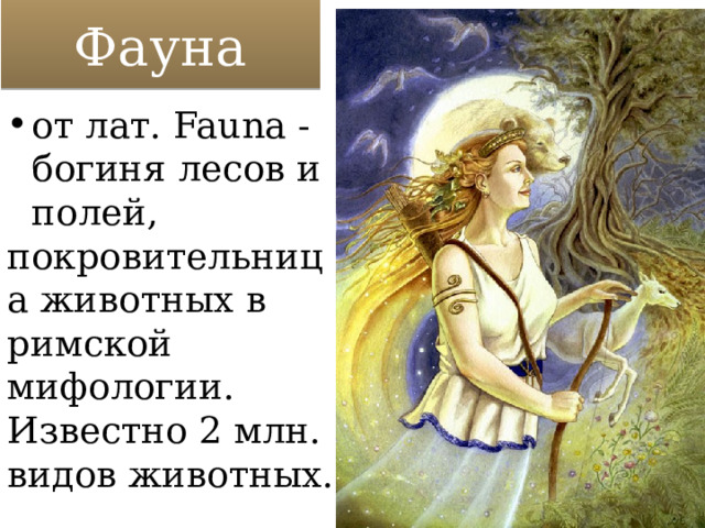 Фауна от лат. Fauna -богиня лесов и полей,  покровительница животных в римской мифологии. Известно 2 млн. видов животных. 