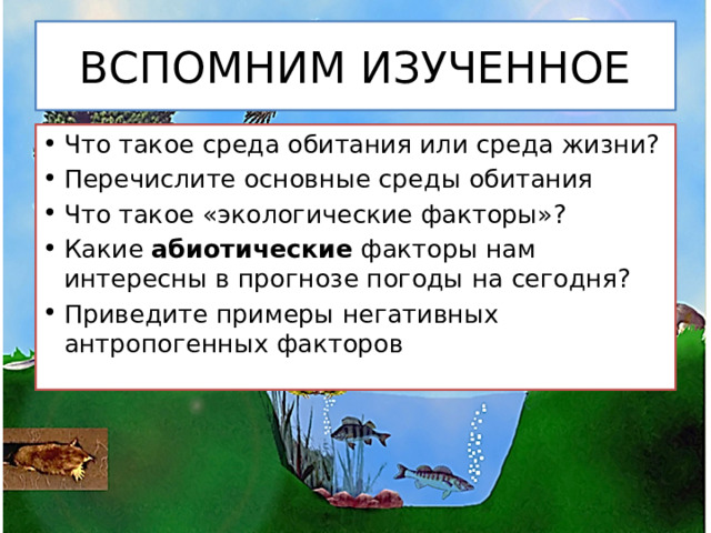 ВСПОМНИМ ИЗУЧЕННОЕ Что такое среда обитания или среда жизни? Перечислите основные среды обитания Что такое «экологические факторы»? Какие абиотические факторы нам интересны в прогнозе погоды на сегодня? Приведите примеры негативных антропогенных факторов 