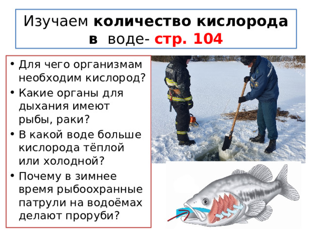 ОСОБЕННОСТИ ВОДНОЙ СРЕДЫ ОБИТАНИЯ- стр. 102-105 Основные характеристики Их особенности в водной среде обитания Вода намного плотнее воздуха Плотность Наличие кислорода Изменения температуры Наличие света Подвижность среды соленость 