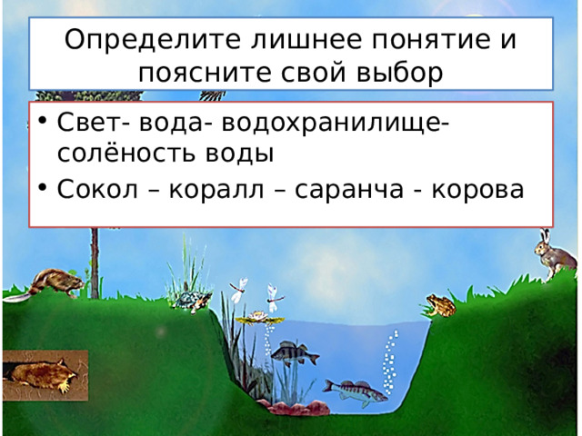 Определите лишнее понятие и поясните свой выбор Свет- вода- водохранилище- солёность воды Сокол – коралл – саранча - корова 