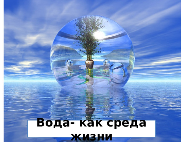 Вода- как среда жизни 