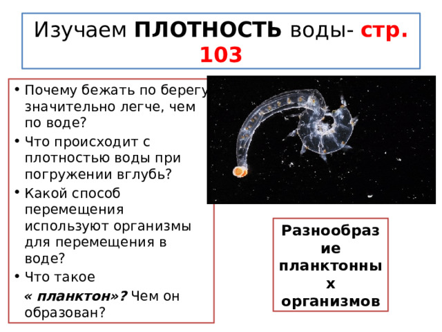 Изучаем ПЛОТНОСТЬ воды- стр. 103 Почему бежать по берегу значительно легче, чем по воде? Что происходит с плотностью воды при погружении вглубь? Какой способ перемещения используют организмы для перемещения в воде? Что такое  « планктон»? Чем он образован? Разнообразие планктонных организмов 