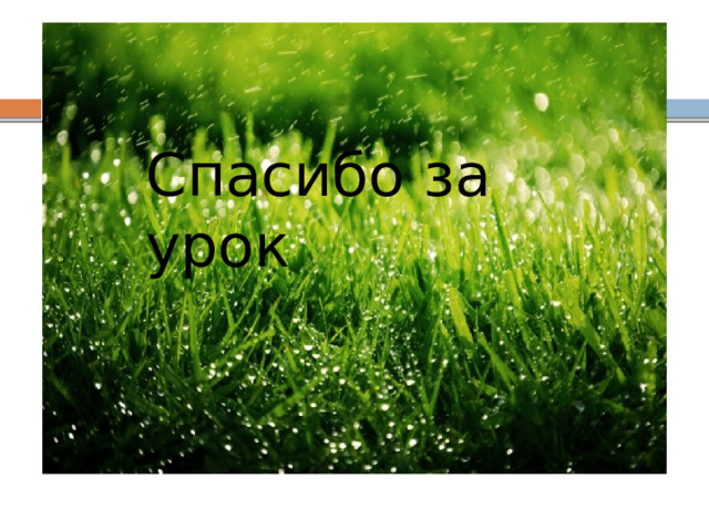 Спасибо за урок 