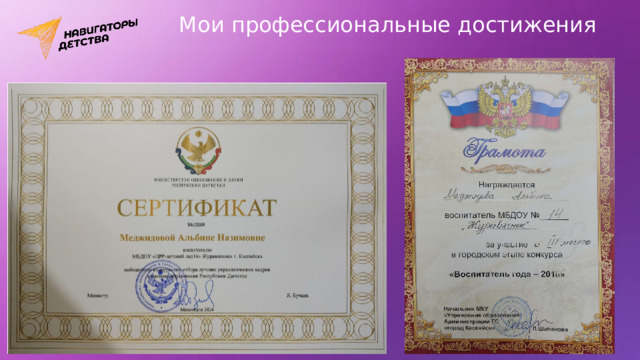 Мои профессиональные достижения 