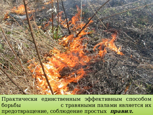 Практически единственным эффективным способом борьбы с травяными палами является их предотвращение, соблюдение простых правил.  