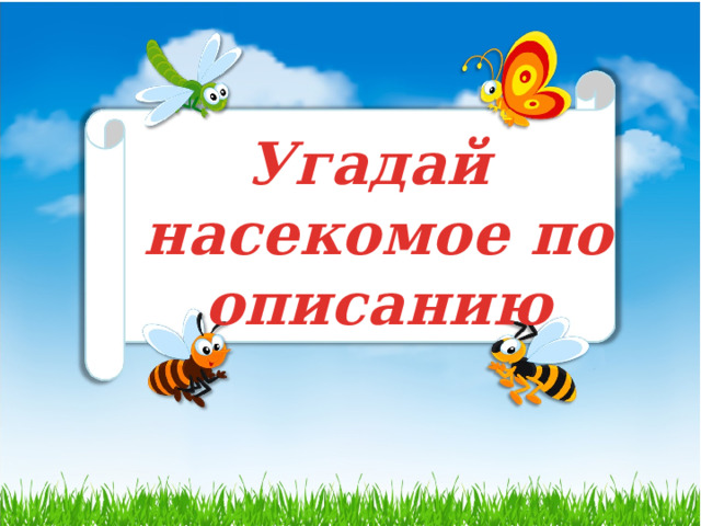  Угадай насекомое по описанию 