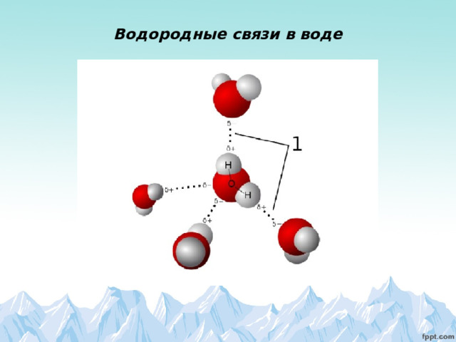 Водородные связи в воде   