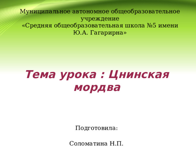  Муниципальное автономное общеобразовательное учреждение  «Средняя общеобразовательная школа №5 имени Ю.А. Гагарирна» Тема урока : Цнинская мордва   Подготовила:  Соломатина Н.П. Тамбов 2025 