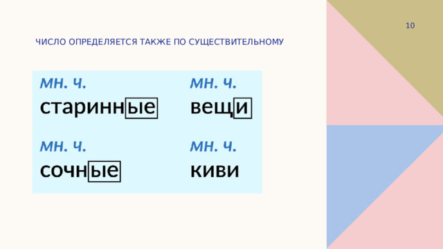 Число определяется также по существительному 1 
