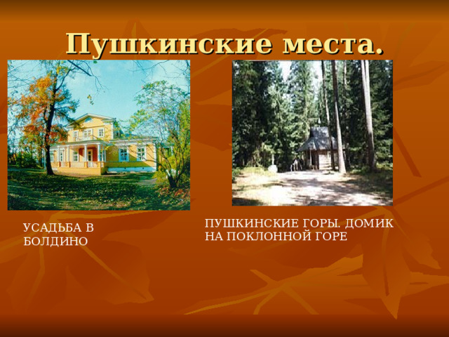 УСАДЬБА В БОЛДИНО ПУШКИНСКИЕ ГОРЫ. ДОМИК НА ПОКЛОННОЙ ГОРЕ 
