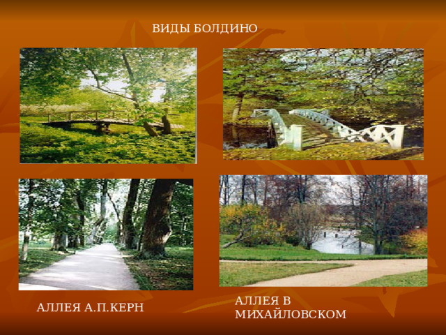 АЛЛЕЯ В МИХАЙЛОВСКОМ ВИДЫ БОЛДИНО АЛЛЕЯ А.П.КЕРН 