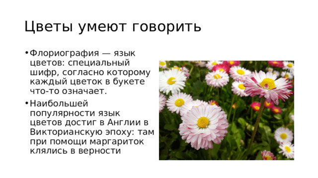 Цветы умеют говорить Флориография — язык цветов: специальный шифр, согласно которому каждый цветок в букете что-то означает. Наибольшей популярности язык цветов достиг в Англии в Викторианскую эпоху: там при помощи маргариток клялись в верности 