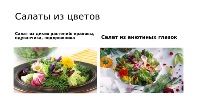 Салаты из цветов Салат из диких растений: крапивы, одуванчика, подорожника Салат из анютиных глазок 
