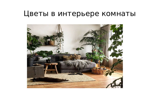 Цветы в интерьере комнаты 
