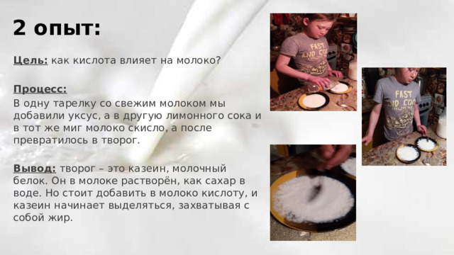 2 опыт: Цель: как кислота влияет на молоко? Процесс: В одну тарелку со свежим молоком мы добавили уксус, а в другую лимонного сока и в тот же миг молоко скисло, а после превратилось в творог. Вывод: творог – это казеин, молочный белок. Он в молоке растворён, как сахар в воде. Но стоит добавить в молоко кислоту, и казеин начинает выделяться, захватывая с собой жир. 