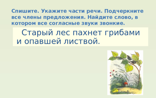 Спишите. Укажите части речи. Подчеркните все члены предложения. Найдите слово, в котором все согласные звуки звонкие.  Старый лес пахнет грибами и опавшей листвой. 
