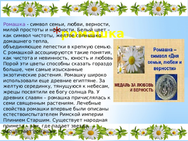 Ромашка - символ семьи, любви, верности, милой простоты и нежности. Белый цвет – как символ чистоты, желтое солнышко домашнего тепла, объединяющее лепестки в крепкую семью. С ромашкой ассоциируются такие понятия, как чистота и невинность, юность и любовь. Порой эти цветы способны сказать гораздо больше, чем самые изысканные экзотические растения. Ромашку широко использовали еще древние египтяне. За желтую серединку, тянущуюся к небесам, жрецы посвятили ее богу солнца Ра. У древних славян – ромашка причислялась к семи священным растениям. Лечебные свойства ромашки впервые были описаны естествоиспытателем Римской империи Плинием Старшим. Существует народная примета – там, где падает звезда, расцветает ромашка. ромашка 