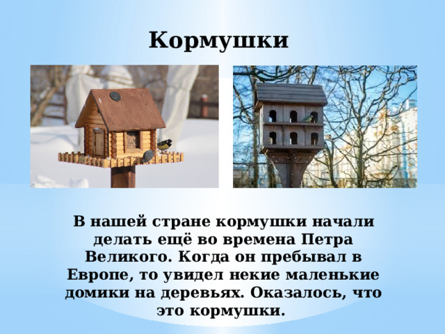 Кормушки В нашей стране кормушки начали делать ещё во времена Петра Великого. Когда он пребывал в Европе, то увидел некие маленькие домики на деревьях. Оказалось, что это кормушки. 