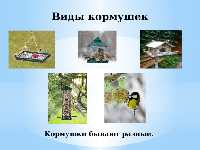 Виды кормушек Кормушки бывают разные. 