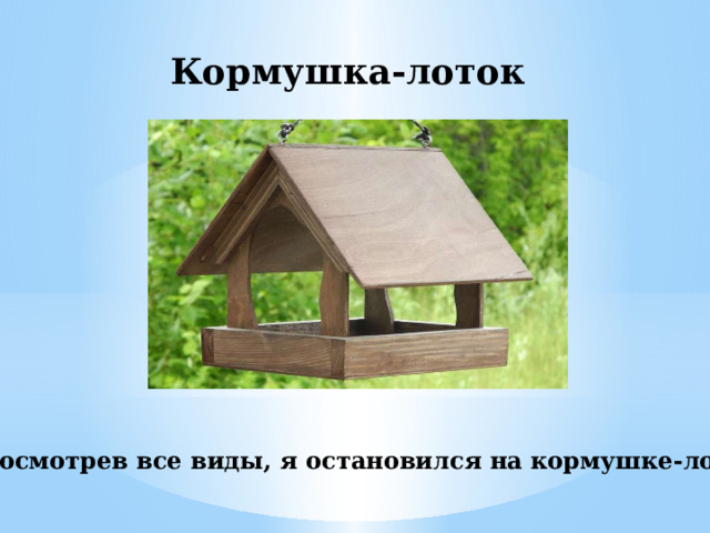Кормушка-лоток Просмотрев все виды, я остановился на кормушке-лотке. 