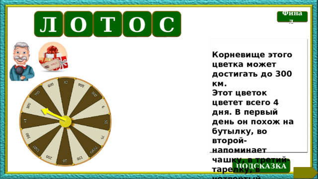 Б Финал Л О Т О С Корневище этого цветка может достигать до 300 км. Этот цветок цветет всего 4 дня. В первый день он похож на бутылку, во второй- напоминает чашку, в третий- тарелку, в четвертый – блюдце. Текст по теме Файл «У нас победитель» открывается через гиперссылку «ведущий» ПОДСКАЗКА 10 