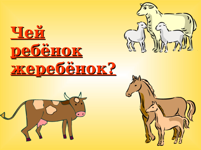 Чей ребёнок жеребёнок?  